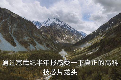 通過寒武紀(jì)半年報(bào)感受一下真正的高科技芯片龍頭