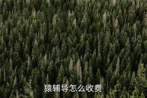 猿輔導(dǎo)小學(xué)網(wǎng)課價格，各位誰知道猿輔導(dǎo)收 費 貴嗎