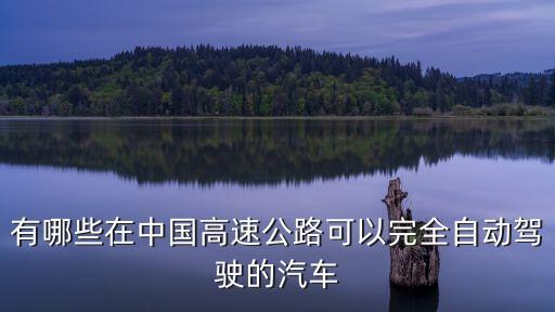 中國做自動駕駛的公司有哪些，自動駕駛技術(shù)哪個公司好