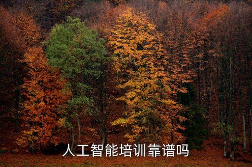人工智能培訓(xùn)靠譜嗎