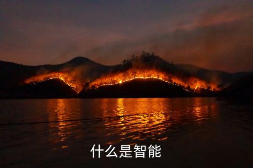 什么是智能