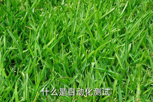 智能家居自動化測試，自動化測試 怎樣自動判斷燈亮