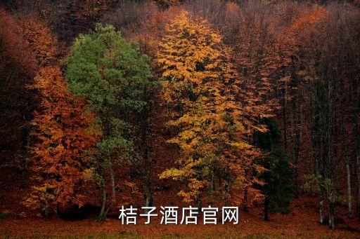 桔子酒店官網(wǎng)