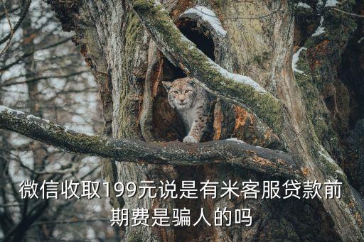 有米平臺是騙局揭秘，楚商有米貸款是否騙人