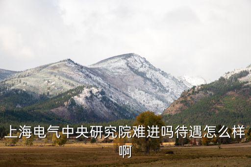 上海電氣職業(yè)技術學校，上海電氣工程及其自動化研究生院校排名