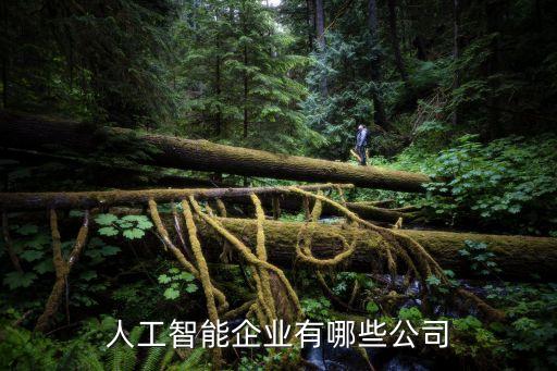 人工智能哪些公司，人工智能方面有哪些中國(guó)企業(yè)