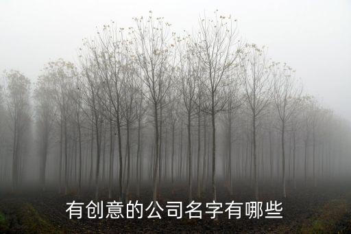 有創(chuàng)意的公司名字有哪些