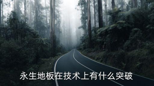 永生地板在技術(shù)上有什么突破
