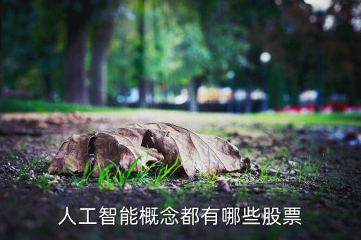 人工智能概念都有哪些股票