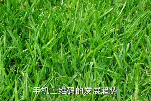 手機(jī)二維碼的發(fā)展趨勢
