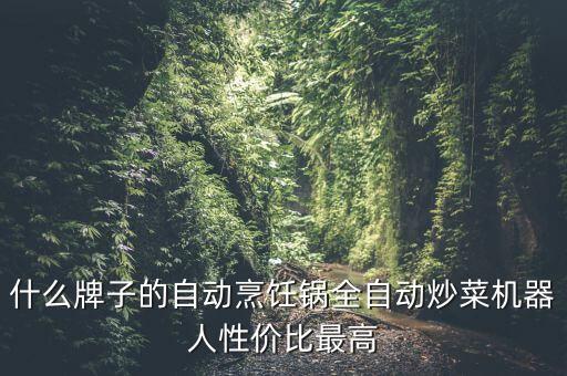 什么牌子的自動(dòng)烹飪鍋全自動(dòng)炒菜機(jī)器人性價(jià)比最高