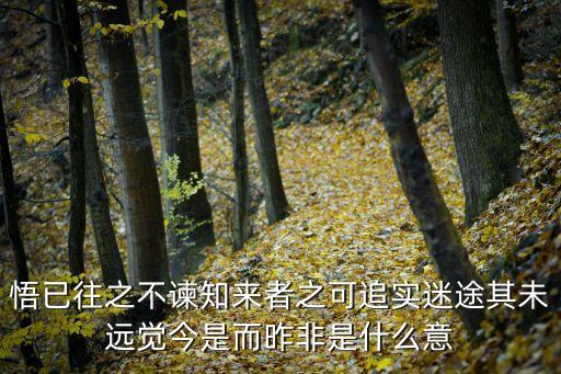 悟已往之不諫知來者之可追實(shí)迷途其未遠(yuǎn)覺今是而昨非是什么意