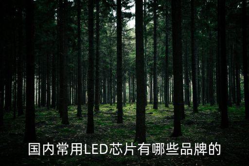 國(guó)內(nèi)常用LED芯片有哪些品牌的