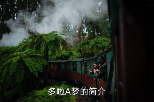 多啦A夢(mèng)的簡(jiǎn)介
