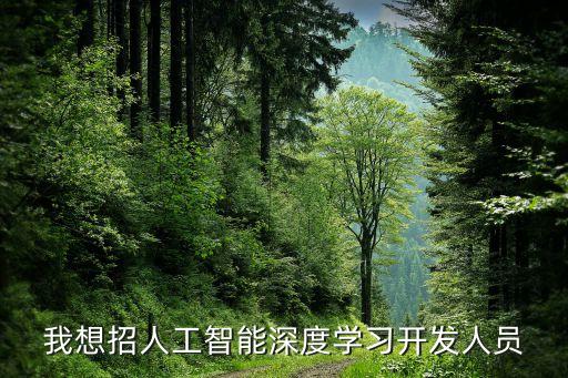 我想招人工智能深度學(xué)習(xí)開發(fā)人員