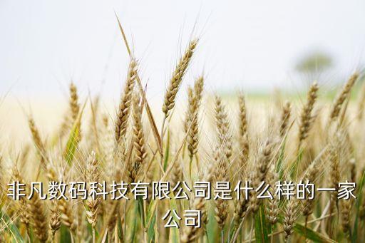 非凡數(shù)碼科技有限公司是什么樣的一家公司