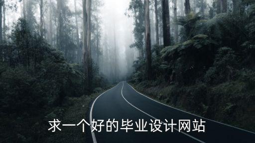 求一個(gè)好的畢業(yè)設(shè)計(jì)網(wǎng)站
