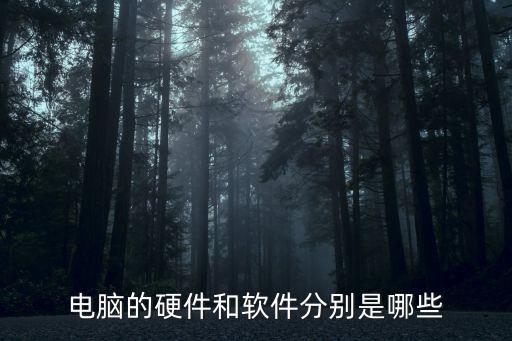 電腦的硬件和軟件分別是哪些