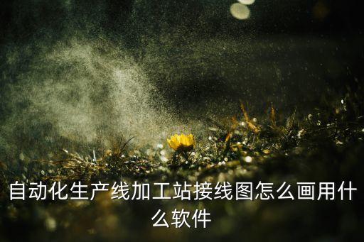 自動(dòng)化生產(chǎn)線加工站接線圖怎么畫用什么軟件