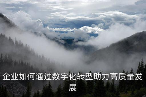 企業(yè)如何通過(guò)數(shù)字化轉(zhuǎn)型助力高質(zhì)量發(fā)展