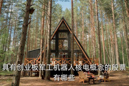 具有創(chuàng)業(yè)板軍工機(jī)器人核電概念的股票有哪些