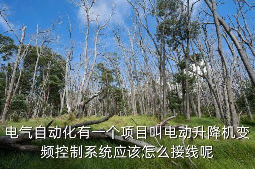 電氣自動(dòng)化有一個(gè)項(xiàng)目叫電動(dòng)升降機(jī)變頻控制系統(tǒng)應(yīng)該怎么接線呢