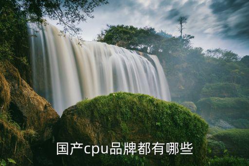 國(guó)產(chǎn)芯片有哪些品牌，國(guó)產(chǎn)芯片哪些大品牌