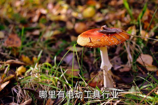 余姚電動(dòng)工具廠(chǎng)，余姚注塑件加工哪里有