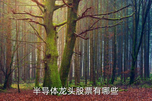 半導體龍頭股票有哪些