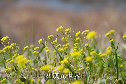 成都賽凡科幻空間招聘，最近有什么好看的電影