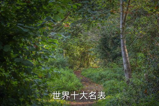世界名表前十名百達(dá)翡麗男表，世界十大名表