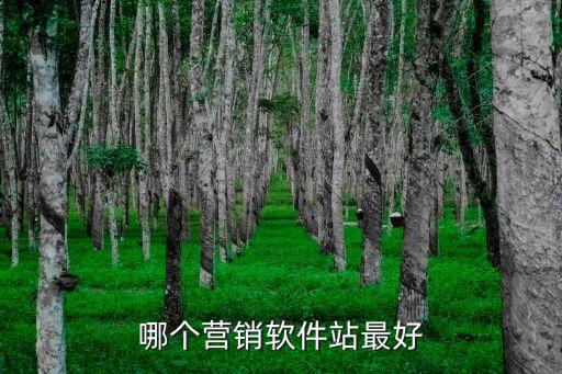 哪個(gè)營銷軟件站最好