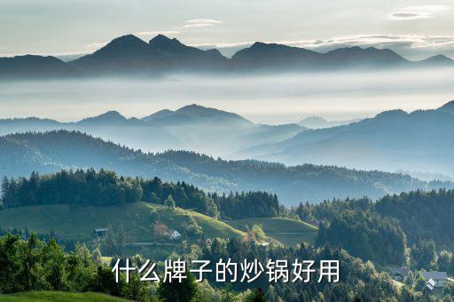 什么牌子的炒鍋好用