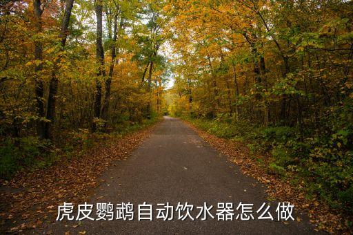 虎皮鸚鵡自動飲水器怎么做