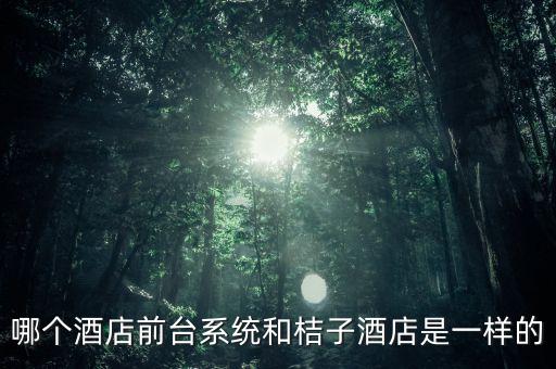 哪個(gè)酒店前臺(tái)系統(tǒng)和桔子酒店是一樣的