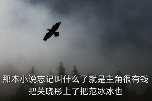 那本小說忘記叫什么了就是主角很有錢把關(guān)曉彤上了把范冰冰也