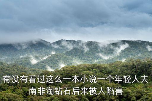 有沒有看過這么一本小說一個(gè)年輕人去南非淘鉆石后來被人陷害
