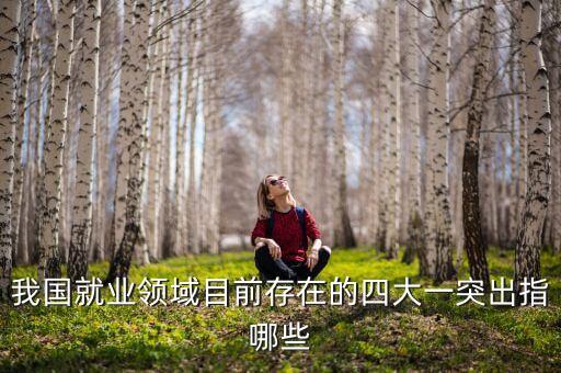 我國就業(yè)領域目前存在的四大一突出指哪些