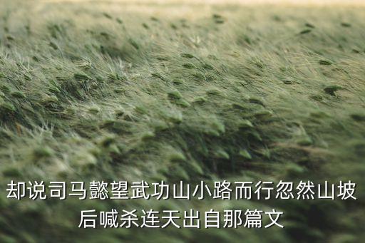 大國(guó)智能制造 烏溪小道，卻說(shuō)司馬懿望武功山小路而行忽然山坡后喊殺連天出自那篇文