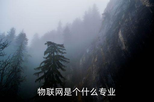 物聯(lián)網(wǎng)是個什么專業(yè)
