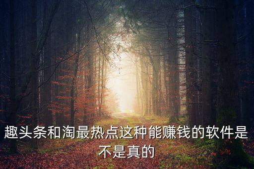 趣頭條和淘最熱點(diǎn)這種能賺錢的軟件是不是真的
