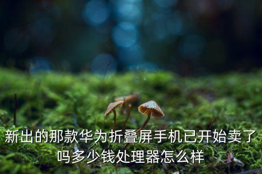華為折疊屏手機最新款2022，2019華為折疊手機 會在幾份在國內上市9份能上市否  搜