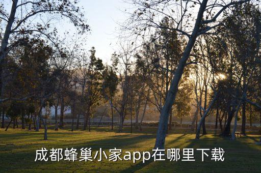 蜂享家app下載蘋果，怎么下載蘋果手機軟件