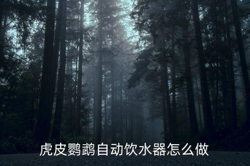 虎皮鸚鵡自動飲水器怎么做