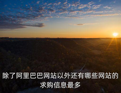 除了阿里巴巴網(wǎng)站以外還有哪些網(wǎng)站的求購信息最多