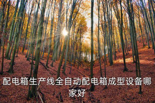 配電箱生產(chǎn)線全自動配電箱成型設(shè)備哪家好