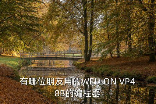 有哪位朋友用的WELLON VP48B的編程器