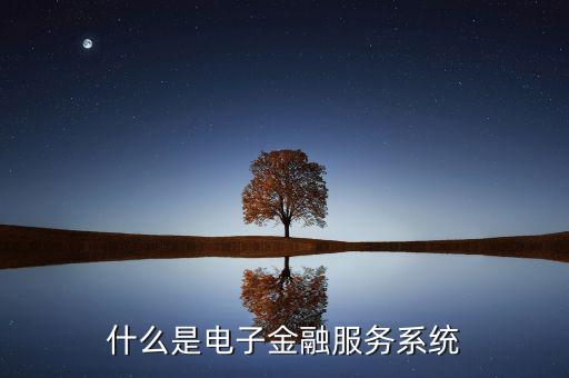 什么是電子金融服務(wù)系統(tǒng)