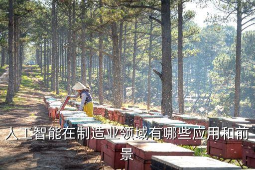 人工智能在制造業(yè)領(lǐng)域有哪些應(yīng)用和前景