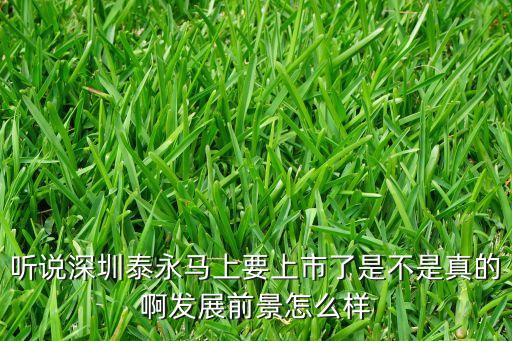聽說深圳泰永馬上要上市了是不是真的啊發(fā)展前景怎么樣